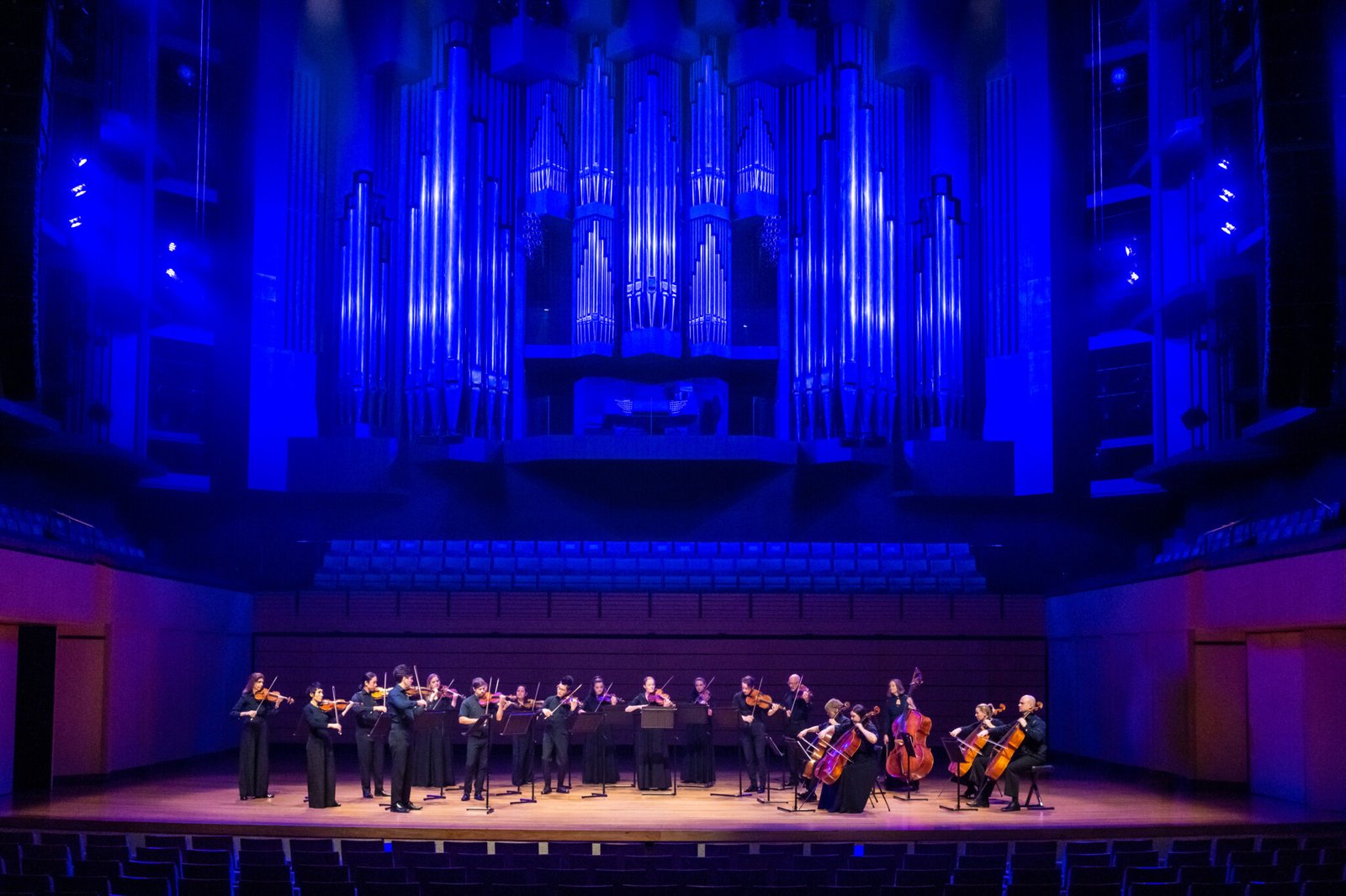 Camerata Queensland's Chamber Orchestra